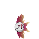 Summer Alomomola Chroma