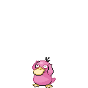 File:Pink Psyduck.png