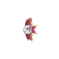 Summer Alomomola Chroma