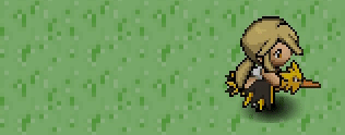 File:Zapdos Mount.gif
