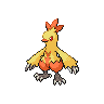 Original counterpart