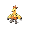 Shiny Combusken