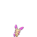 File:Pink Minun.png