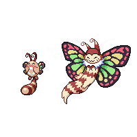 Summer Sentret Butterfly Chroma