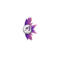 Summer Alomomola Chroma