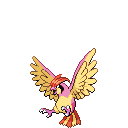 File:Pink Pidgeotto.png