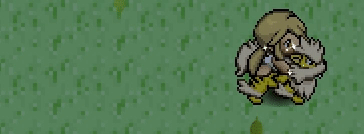 File:Shiny Arcanine Mount.gif