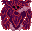 Thumbnail for version as of 11:26, 28 January 2026