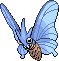 Shiny Venomoth