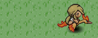 File:Moltres Mount.gif