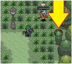 File:Route 6 Easter.png