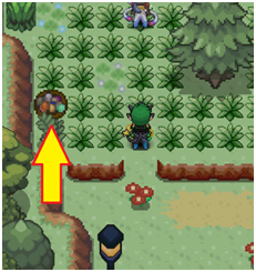 File:Route 14 Easter.png