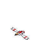 File:Summer Wingull.png