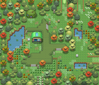 Safari Area 3