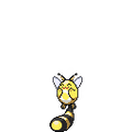 Summer Sentret