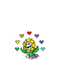 Valentine Sunflora