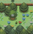 Scyther southeast side of Route 2.