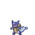 Christmas Wartortle