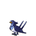 Shadow Swellow
