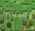 Thumbnail for version as of 14:37, 22 June 2018