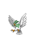 Easter Pidgeotto