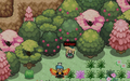 Thumbnail for version as of 16:06, 1 October 2019