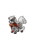 Christmas Arcanine