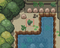 Madre Cactus in Ruins of Alph