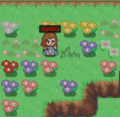 Thumbnail for version as of 05:12, 8 March 2020