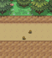 Sandshrew in the middle part of the upper ledge on the southeastern part of Route 3. It is both Sandshrew.