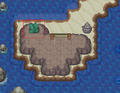 Succulent Leaf in Route 125
