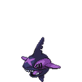 Shadow Sharpedo