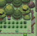 Thumbnail for version as of 13:59, 6 April 2021