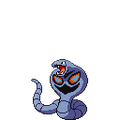 Shadow Arbok