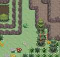 Thumbnail for version as of 12:59, 9 May 2020