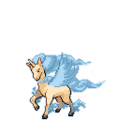 Summer Rapidash