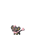 Valentine Female Shinx