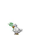 Easter Pidgey
