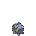 Shadow Shelgon