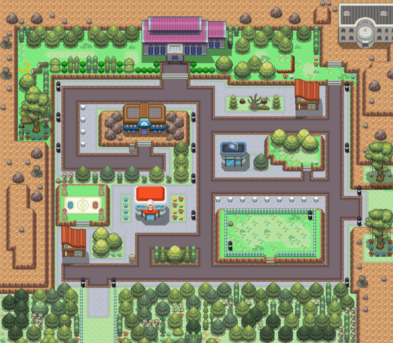 Pewter City Pokemon Revolution Online Wiki