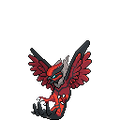 April Fools Yveltal (Pidgeotto)