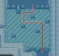 Ice Path 1F Puzzle near the Blackthorn City exit