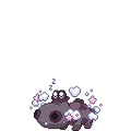 Valentine Female Hippopotas