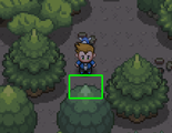 Hidden Rare Candy