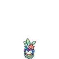 Easter Petilil