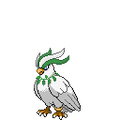 Easter Pidgeot