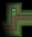 Moon Bloom in Petalburg Maze