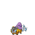 April Fools Raikou (Bidoof)
