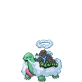 Summer Torkoal