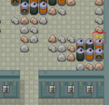 Sparky Blossom in Power Plant